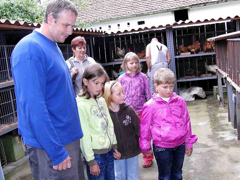 Z pouťové výstavy staňkovských chovatelů. Většina příchozích dětí se zaměřila na pozorování nutrií rodinky. Přece jen není nutrie takovým ´všedním´ druhem, jako například drůbež či králíci.