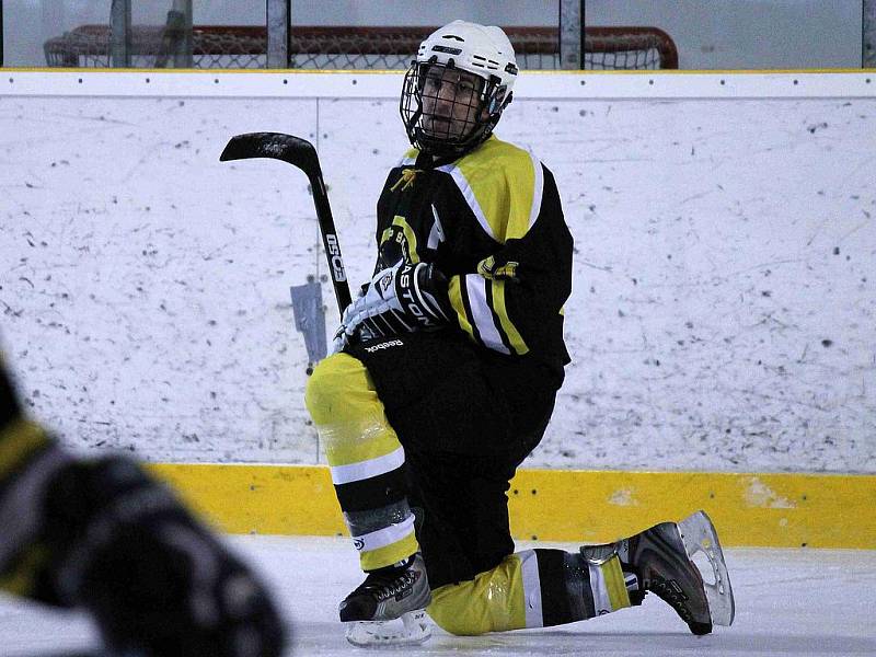 Z utkání hokejistů HC HP Sršni Domažlice a Ice Barons Waldmünchen.