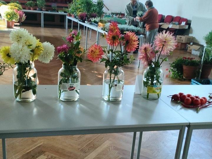 Výstava květin v Kolovči