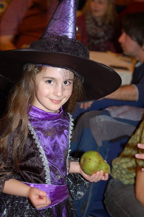 Karneval Na Divokém západě pořádala PS Mír Domažlice.