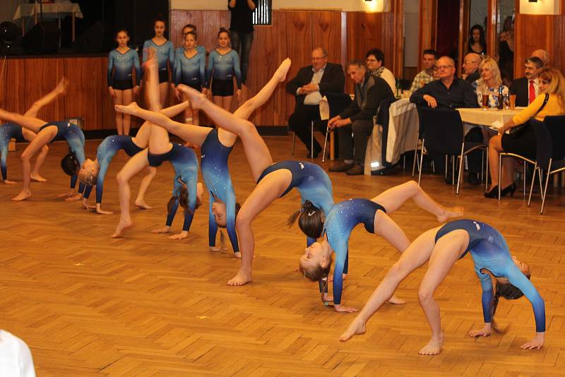 Své umění předvedly mladé sportovní gymnastky SG Sokol Domažlice.