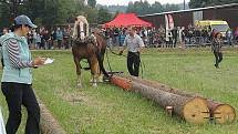 Na Den Českého lesa dorazily stovky návštěvníků. Největší pozornost budil závod chladnokrevných koní.