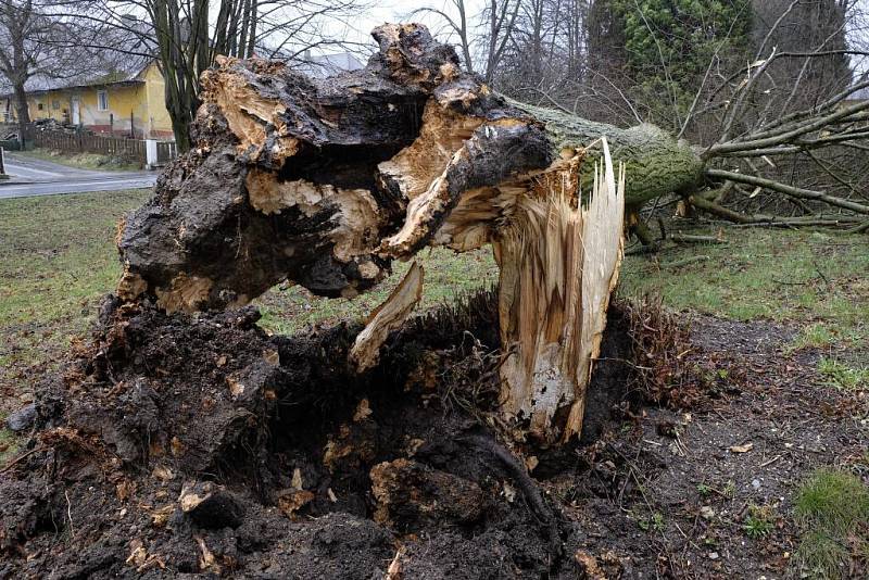 Následky silného větru v Plzeňském kraji v minulosti. I v Hluboké u Kdyně vyvracel stromy.