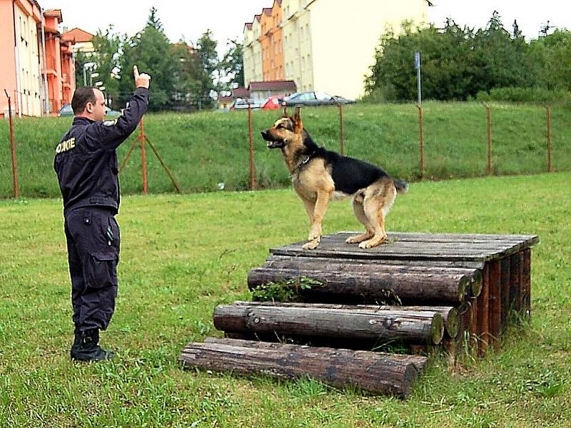 Ukázka poslušnosti. Německý ovčák Danek a Josef Löfler ze Sokolova.