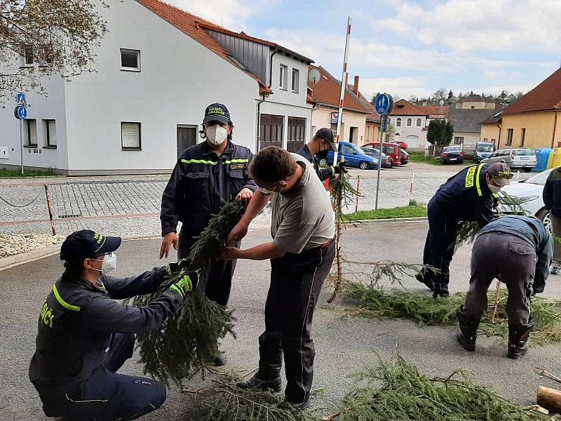 Dobrovolní hasiči z Domažlic letos opět navázali na tradici a postavili na náměstí májku.