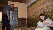 Výstava Měnící se svět v Muzeu východních Čech přibližuje přechod člověka od lovu a sběračství k mnohem efektivnějšímu zemědělství.
