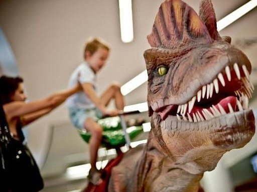 Říše dinosaurů v prostorách hradeckého obchodního centra Futurum.