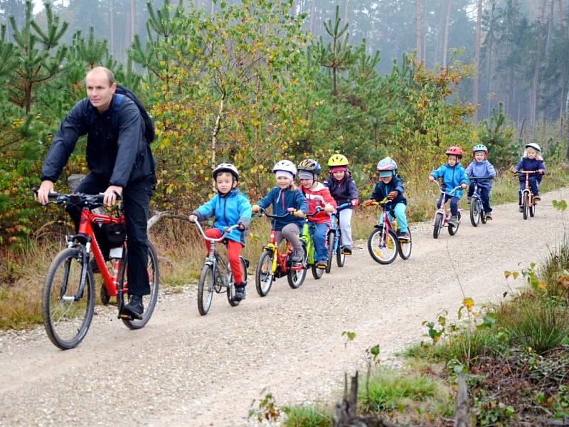 Děti z královéhradecké MŠ Štefcova na kolech na stezce v městských lesích.