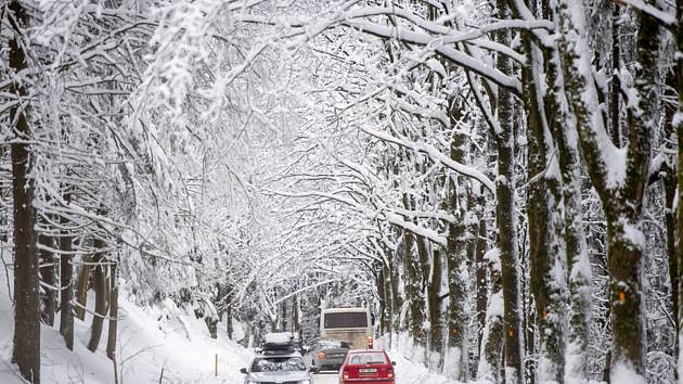 Zasněžená silnice v Orlických horách