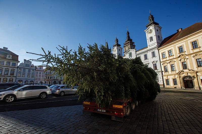 V Hradci Králové už stojí oba vánoční stromy