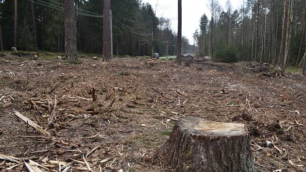 Cyklostezka měla být hotová letos v červnu. Teď se řeší, co s chráněnými obojživelníky.