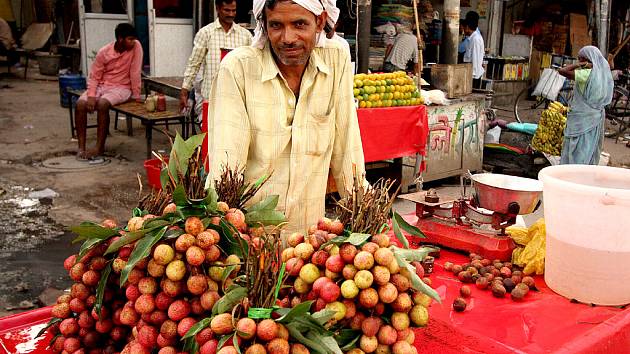 Prodejce liči v ulicích Indie, Dillí.