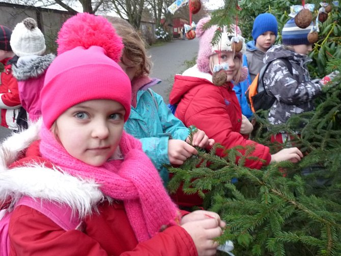 Děti ozdobily vánoční stromek ve dvorské ZOO