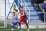 FK Dobrovice (modrobílí) - RMSK Cidlina Nový Bydžov 1:0