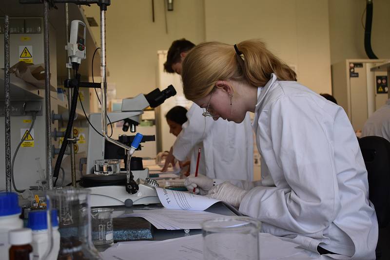 Celkem 42 týmů z 20 zemí Evropské unie se sjelo do Hradce Králové. Na univerzitě soutěží v Evropské olympiádě experimentální vědy.