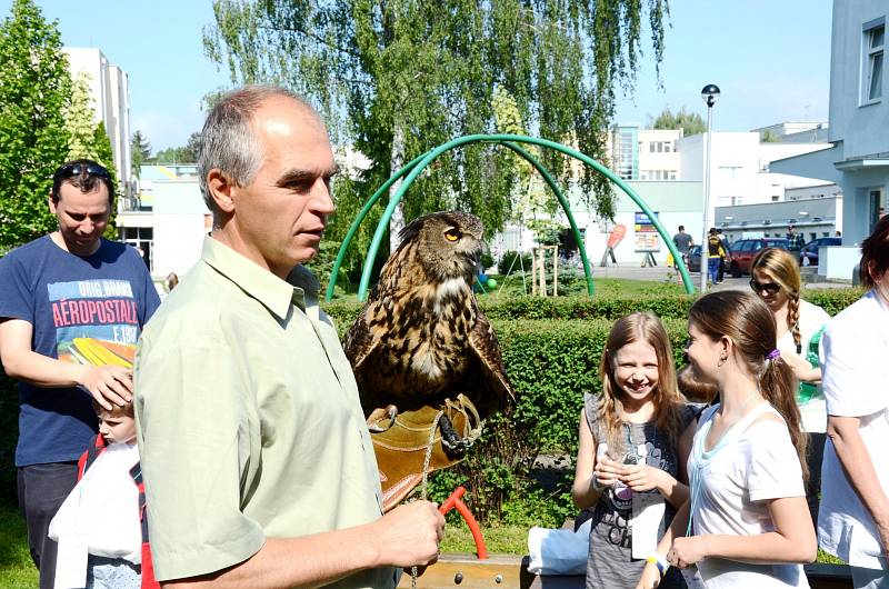 Den dětí ve Fakultní nemocnici Hradec Králové.