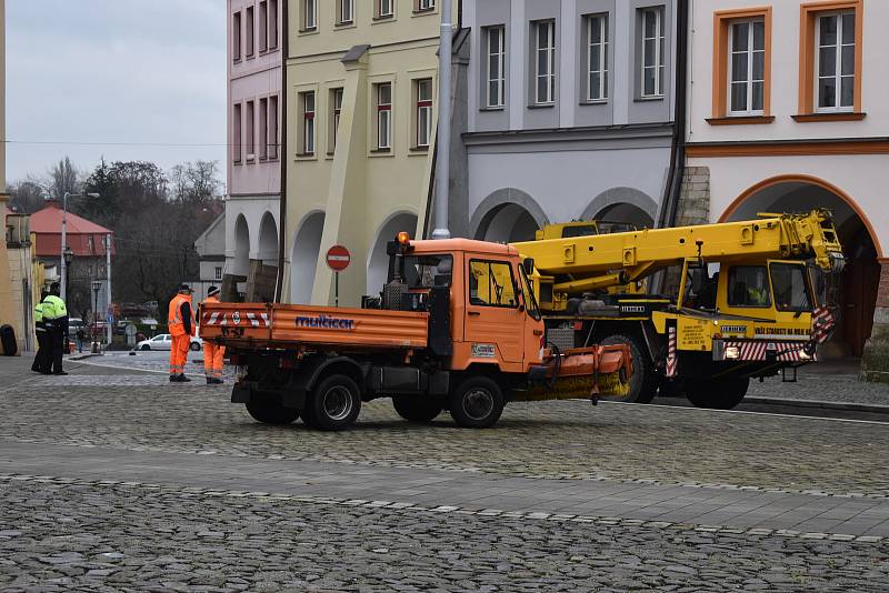 Na Velké náměstí doputoval dopoledne smrk ztepilý z městských lesů.