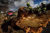 Za sobotu hasiči v kraji evidují asi padesátku technických pomocí, opět především odstraňovali spadlé stromy ze silnic.