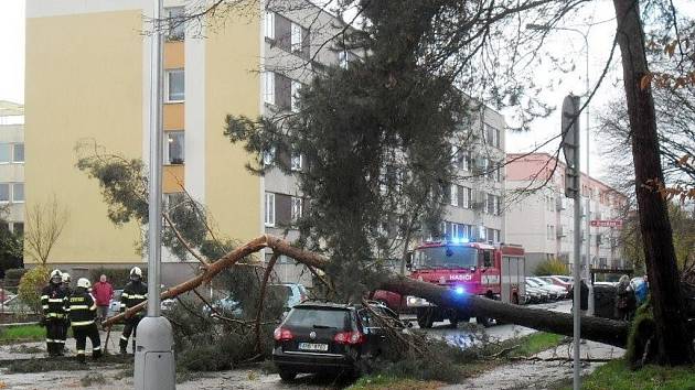 Vichr si nevybíral. V některých případech skončila pod korunami vyvrácených či zlomených stromů i zaparkovaná auta.