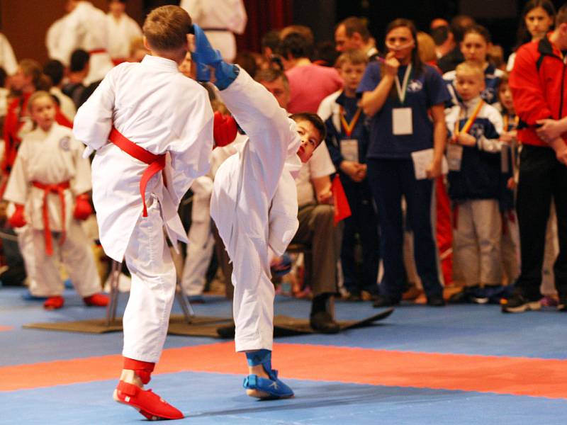 Grand Prix v karate v královéhradeckém kongresovém centru Aldis.