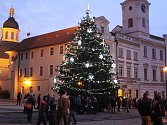 Hradecké vánoční stromy v sobotu rozzářily město. Stromky a další vánoční výzdoba budou město krášlit až do 6. ledna.