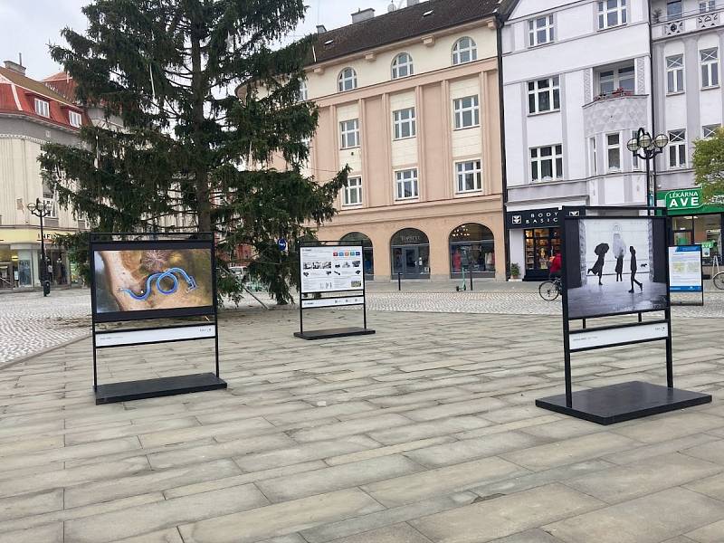 Masarykovo náměstí zdobí vánoční strom i Salon východočeské fotografie.