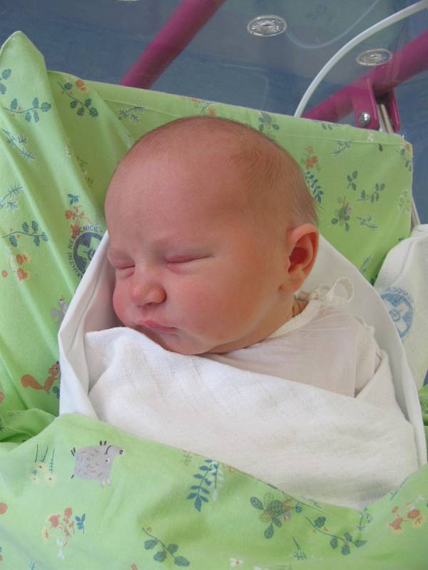 MAX OUBRECHT poprvé spatřil světlo světa 28. srpna v 8.24 hodin. Po narození vážil 3850 g. Svým příchodem potěšil rodiče Marii Oubrechtovou a Michala Bozáně z Hradce Králové.