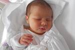 TEREZA SUCHÁNKOVÁ se narodila 18. července v 16.52 hodin. Měřila 51 cm a vážila 3340 g. Radost udělala svým rodičům Aleně Matonohové a Josefu Suchánkovi z Vraclavi. Tatínek byl u porodu pro maminku oporou a zvládl to skvěle.