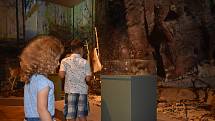 Výstava Měnící se svět v Muzeu východních Čech přibližuje přechod člověka od lovu a sběračství k mnohem efektivnějšímu zemědělství.