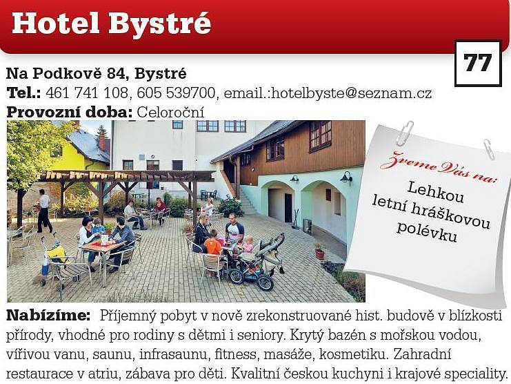 Hotel Bystré