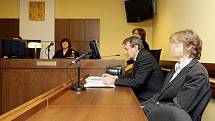 Krajský soud v Hradci Králové 16. října uložil mladíkovi, který plánoval bombový útok na školu v Novém Bydžově, podmíněný trest 14 měsíců se zkušební dobou dva roky. Mladík unikl až pětiletému trestu odnětí svobody.