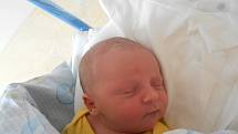 DANIEL LUKÁCS se narodil 17. ledna ve 14.31 hodin. Měřil 52 cm a vážil 3830 g. Velkou radost udělal svým rodičům Marii a Martinu Lukácsovým z Holic. Doma se těší bráška Jakub. Tatínek to u porodu zvládl suprově.