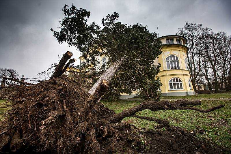 Následky vichřice na Královéhradecku.