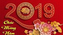 Oslava nového lunárního roku 2019, pořádaná Vietnamci v Hradci Králové.
