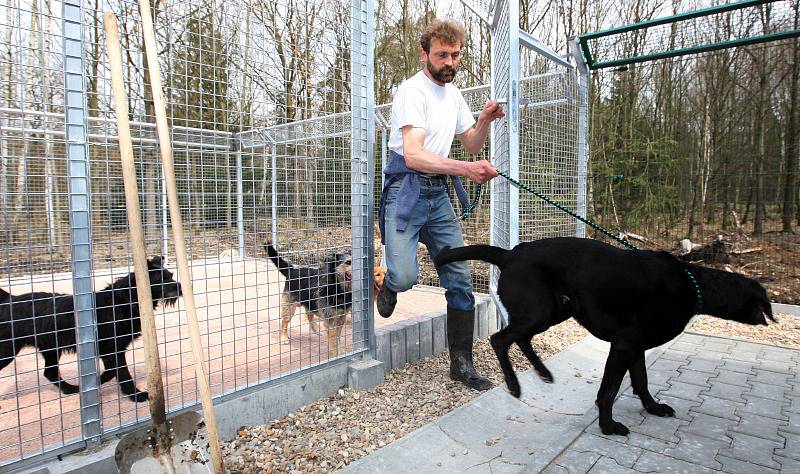 Nový útulek pro zvířata za více než dvacet milionů korun otevřela hradecká radnice nedaleko lesního hřbitova v Malšovicích. Areál nabízí 72 míst pro psy, z toho osm v karanténě.