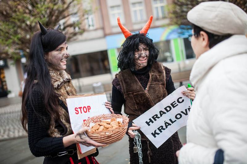 Mikulášský protest za férovou čokoládu na Masarykově náměstí v Hradci Králové.