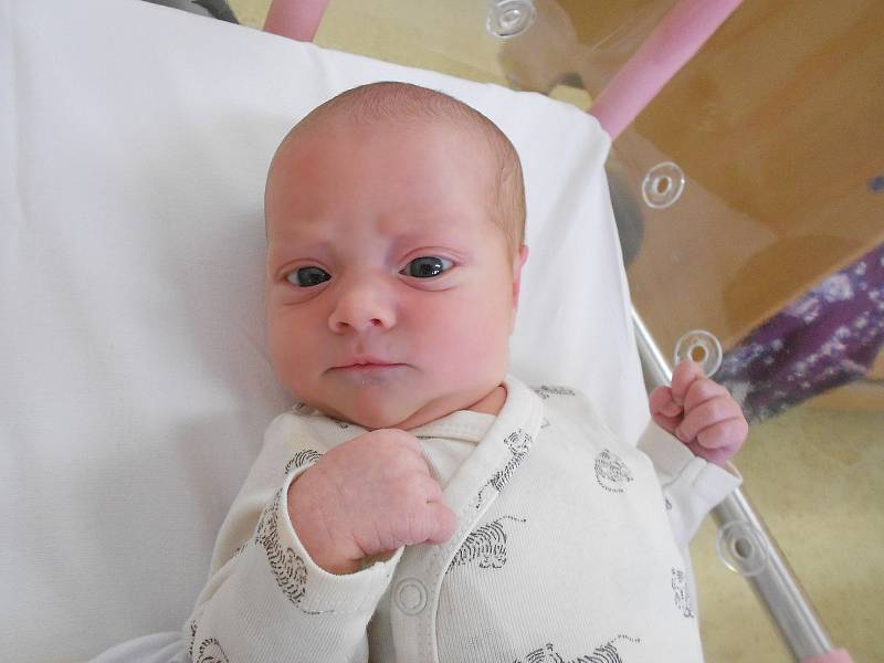 EMILY BRANDEJSOVÁ přišla na svět 8. října ve 20.14 hodin. Měřila 50 cma  vážila 3210 g. Velikou radost udělala svým rodičům Barboře a Janu Brandejsovy ze Lhoty v Potštejně. Tatínek to u porodu zvládl výborně.