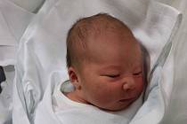 VERONIKA OUDOVÁ se narodila 31. října v 7.28 hodin. Po narození vážila 3390 g. Velkou radost udělala svým rodičům Andree Jórové a Tomáši Oudovi z Hradce Králové.