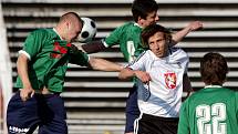 Fotbal: FC Hradec vs. HFK Olomouc (19.04.2009) 