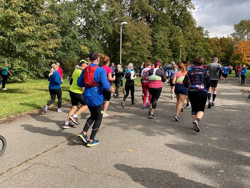 Hradecký maraton a půlmaraton.