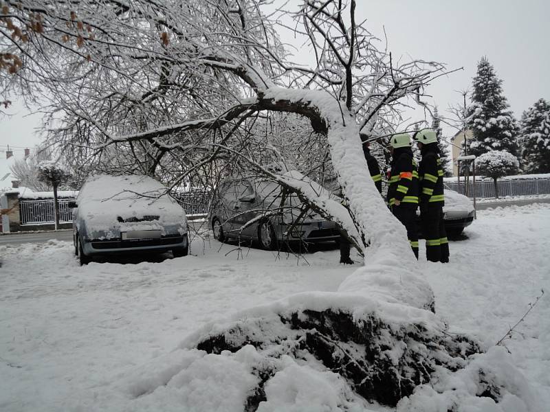 Vyvrácený strom ohrožoval automobily stojící na parkovišti v hradecké ulici Bratří Štefanů.