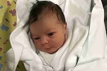 BEATA FRÉLICHOVÁ se narodila 4. prosince 2018 ve 22.13 hodin. Měřila 50 cm a vážila 3460 g. Potěšila své rodiče Petru a Iva Frélichovy z Hradce Králové. Doma se těší tříletá sestřička Inna.