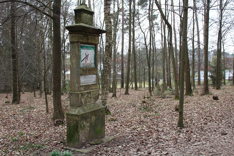 Z lesní Křížové cesty ve Smržově. Foto: Deník/Jana Kotalová