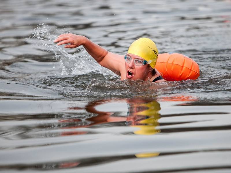 River Labe Ice Swim v Hradci Králové.