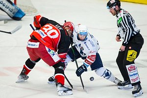 Hokejisté Hradce Králové mohou získat Prezidentský pohár za vítězství v základní části Tipsport extraligy.