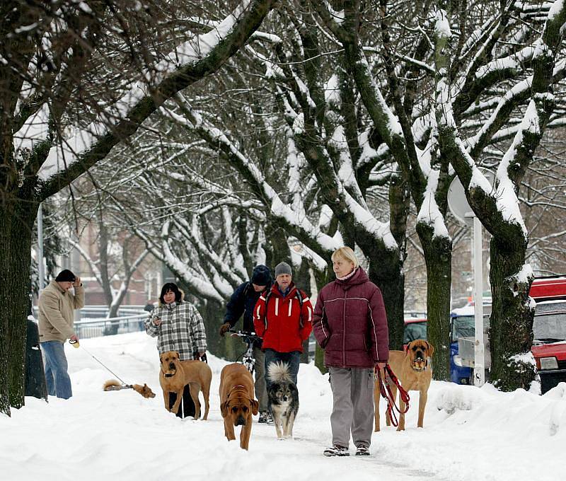 Ulice v Hradci Králové zasypal 28. ledna 2010 další sníh.