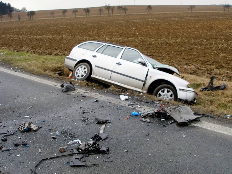 Smrtelná nehoda na silnici I. třídy č. 11 mezi Hřibskem a Vlčkovicemi na Královéhradecku.