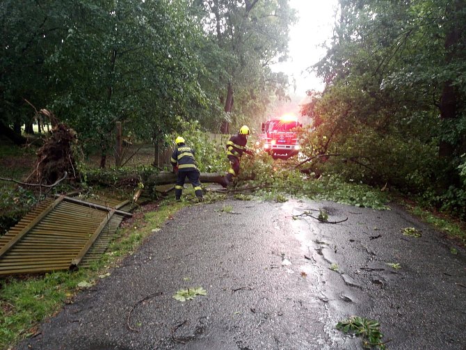 Na Hrádku u Nechanic spadlý strom poškodil oplocení zámecké zahrady.