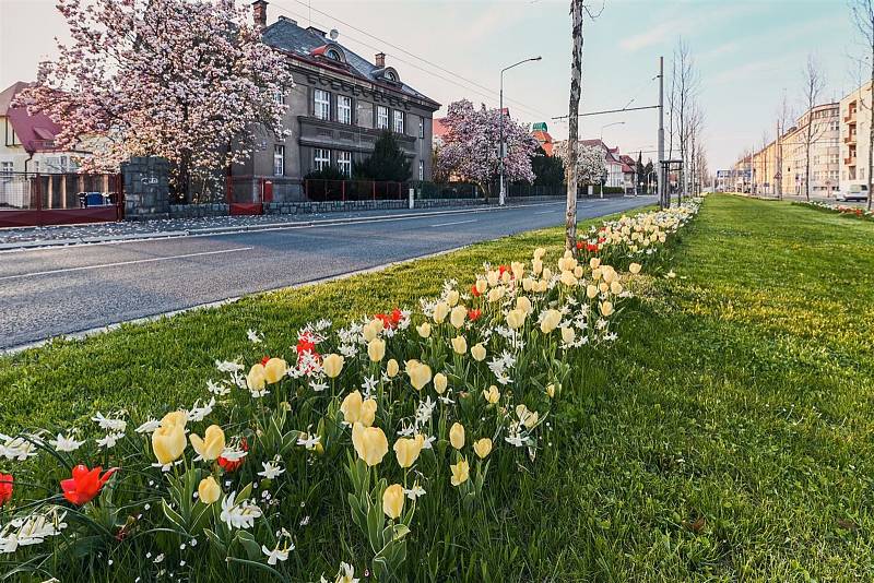 Foto: Zdeněk Puš, www.hradeckralove.org