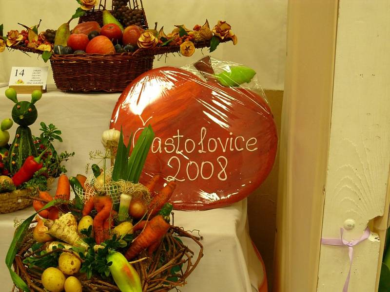 Zahrada východních Čech 2008, výstava v Častolovicích